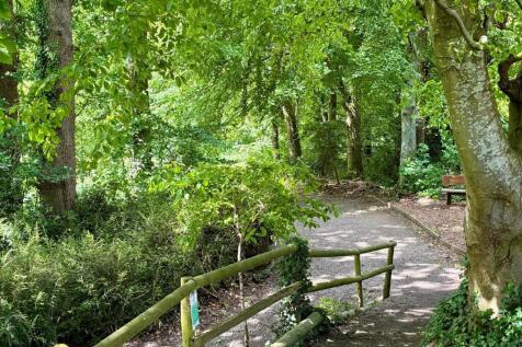 Woodland walk