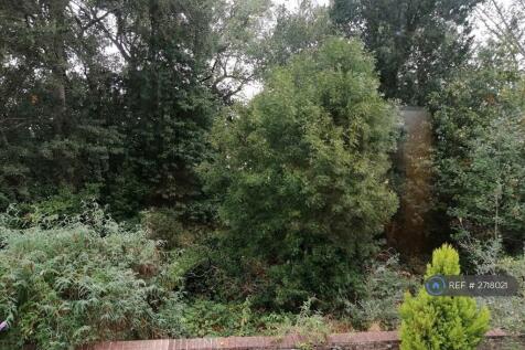 Richmond Park Behind House