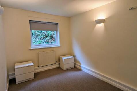 PXL_20230414_153526119 (Large).jpg