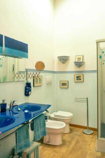 WhatsApp Image 2025-