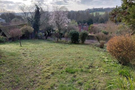 Back garden