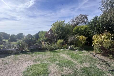 New garden 3.jpg