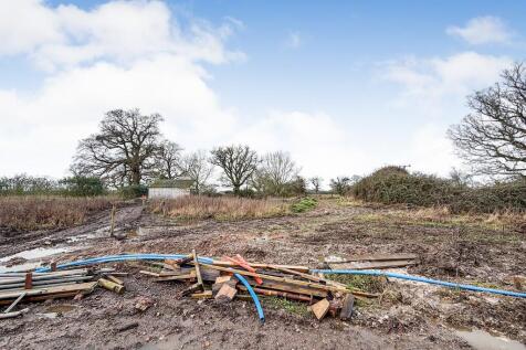 21  Medium  T202602171028.jpg