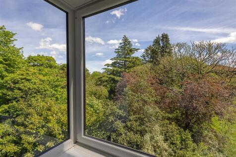 Bedroom View