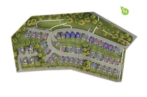 Site Layout
