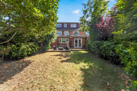 Property Image 28