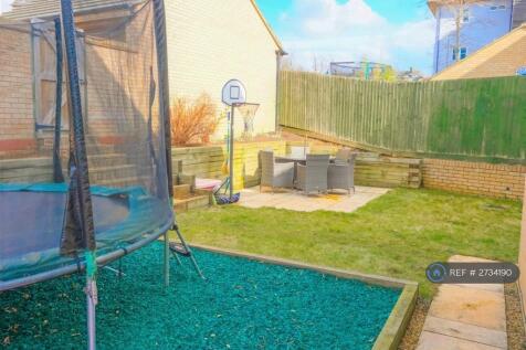 Back Garden