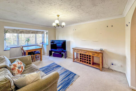 IMG_6036_edited_edited-1