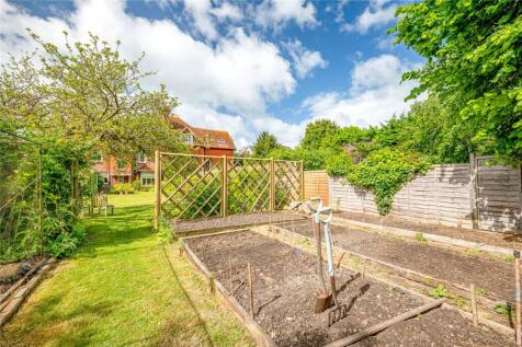 Vegetable Patch
