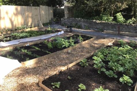 Vegetable Garden