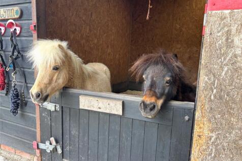 Stable