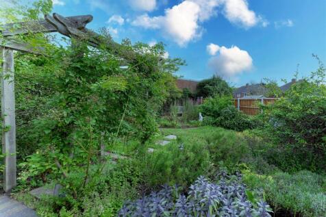 Rear Garden 1 SAPL9297-20250805-DxO_DeepPRIME XD2s