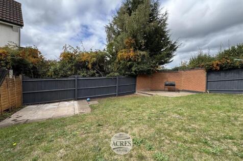 IMG_1317 (Large).jpg