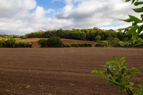 Countryside Views