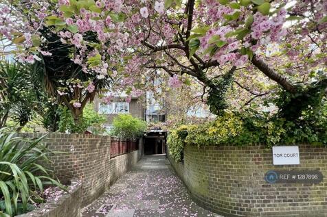 Entrance With Cherry Trees In Full Bloom