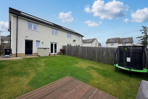 Back Garden