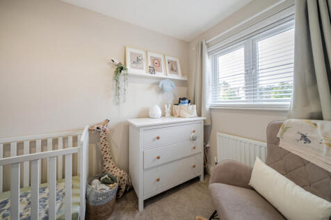 1356556-5-68cc393...