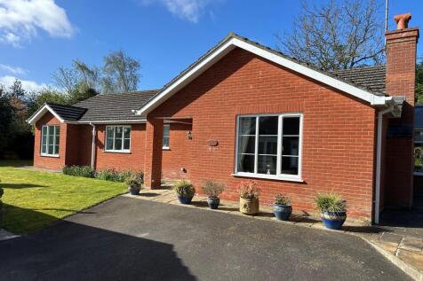 Vendorsfrontshot.jpg
