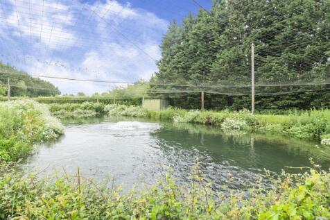 Trout Pond