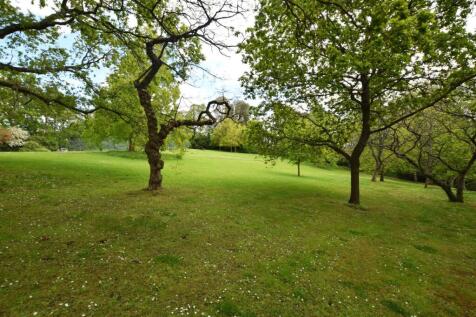 Communal Grounds