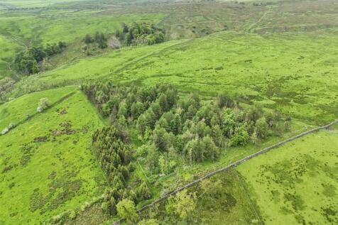 Land at Dykelands Lot 2_0032.jpg