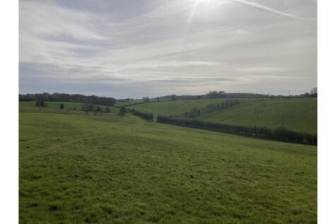 Field