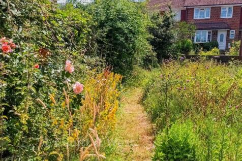 Wilded Garden