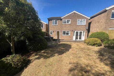 Rear Elevation