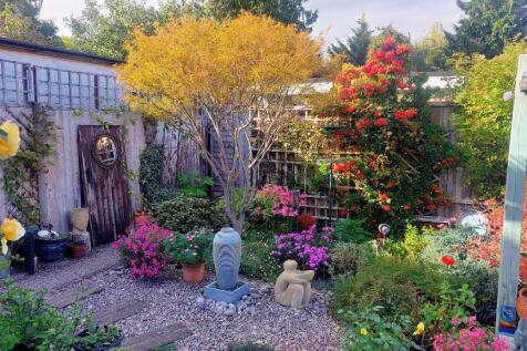 Pretty courtyard garden