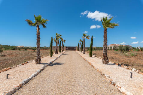 Elegant driveway leading to the estate