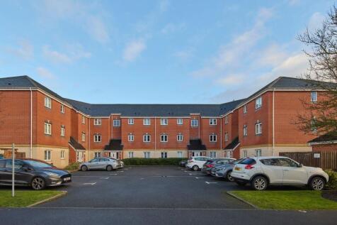 WhatsApp Image 2026-02-12 at 19.02.15.jpeg