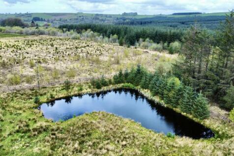 dji_fly_20240424_124936_78_1713959392816_photo_opt