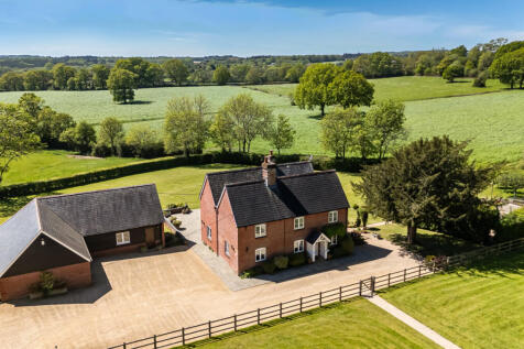 1454429 (21).jpg