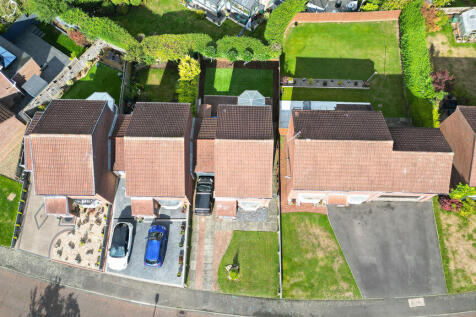 Plot View