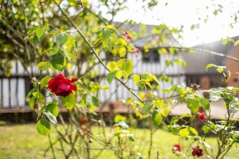 HHHastings Hall-5...