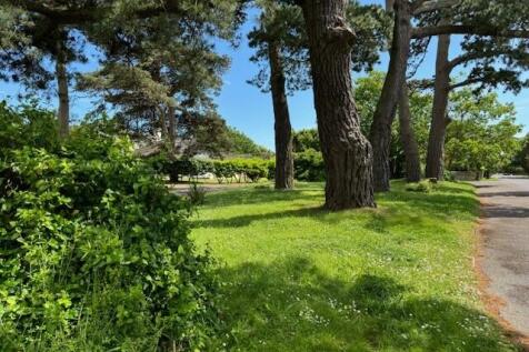 front trees