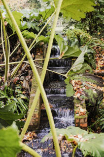 318725 - WHhr-14.jpg