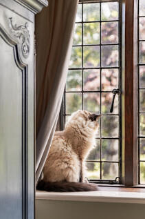 306871 - North Lodge Wirral 50.jpg