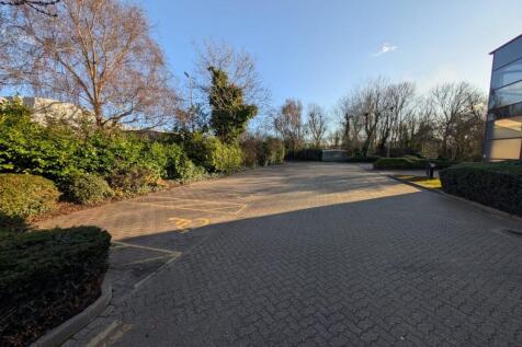 20250304_110922000_iOS 2.jpg