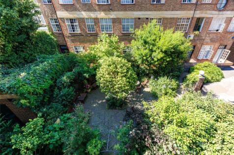 View Of The Garden