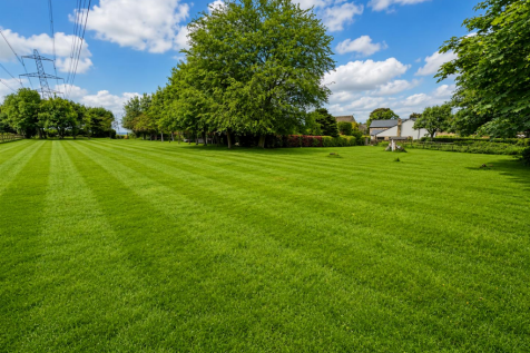 Plot for sale Image 4