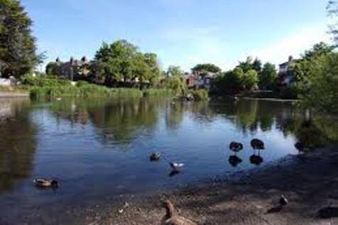 Near Chislehurst ponds