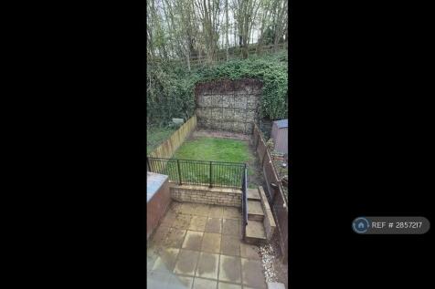 Back Garden