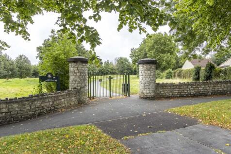 Image 13