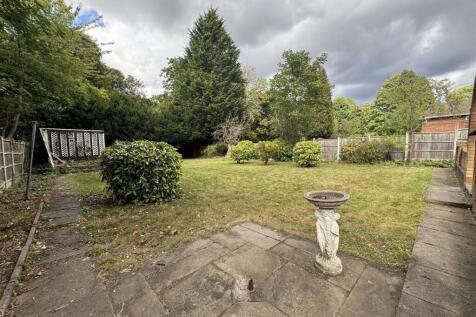 IMG_5480 (Large) (Large).JPG