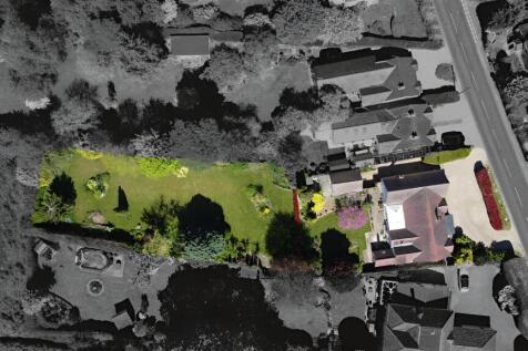 Birds Eye