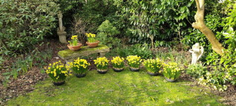 Property Image 58