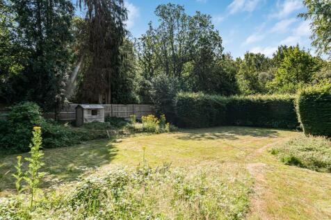 Wild Meadow Garden