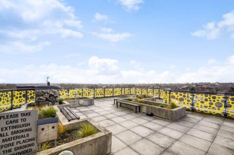 ROOF TERRACE