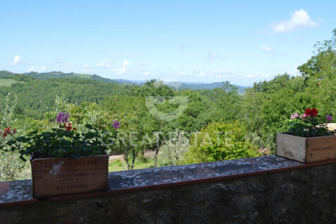 Panorama e Particolari